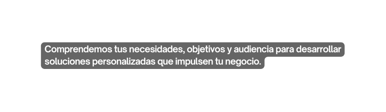 Comprendemos tus necesidades objetivos y audiencia para desarrollar soluciones personalizadas que impulsen tu negocio